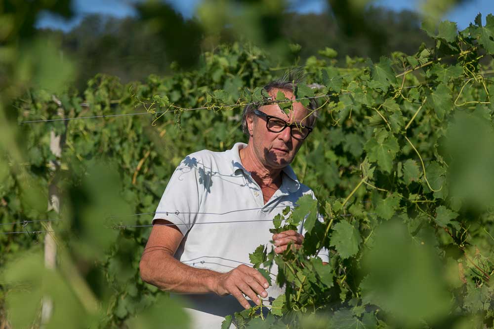 walter massa, il vino soprannaturale